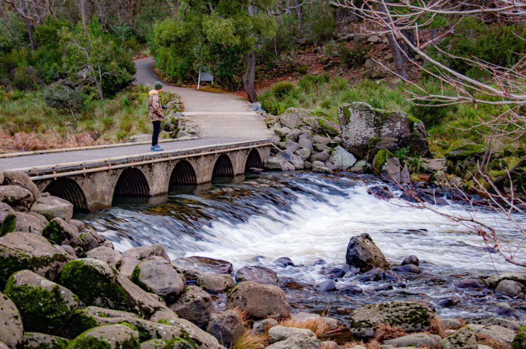 Cataract Gorge Tasmania