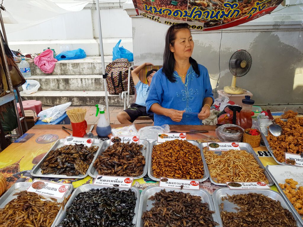 Two Weeks in Chiang Mai