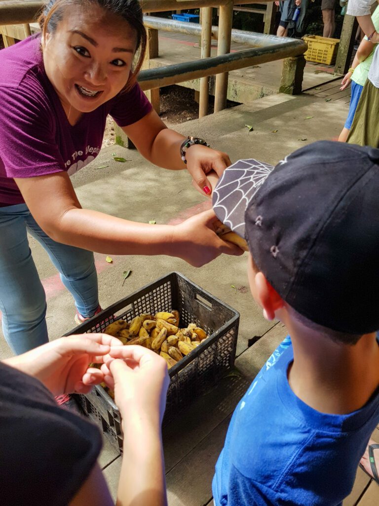 Two Weeks in Chiang Mai