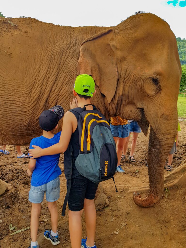 Two Weeks in Chiang Mai