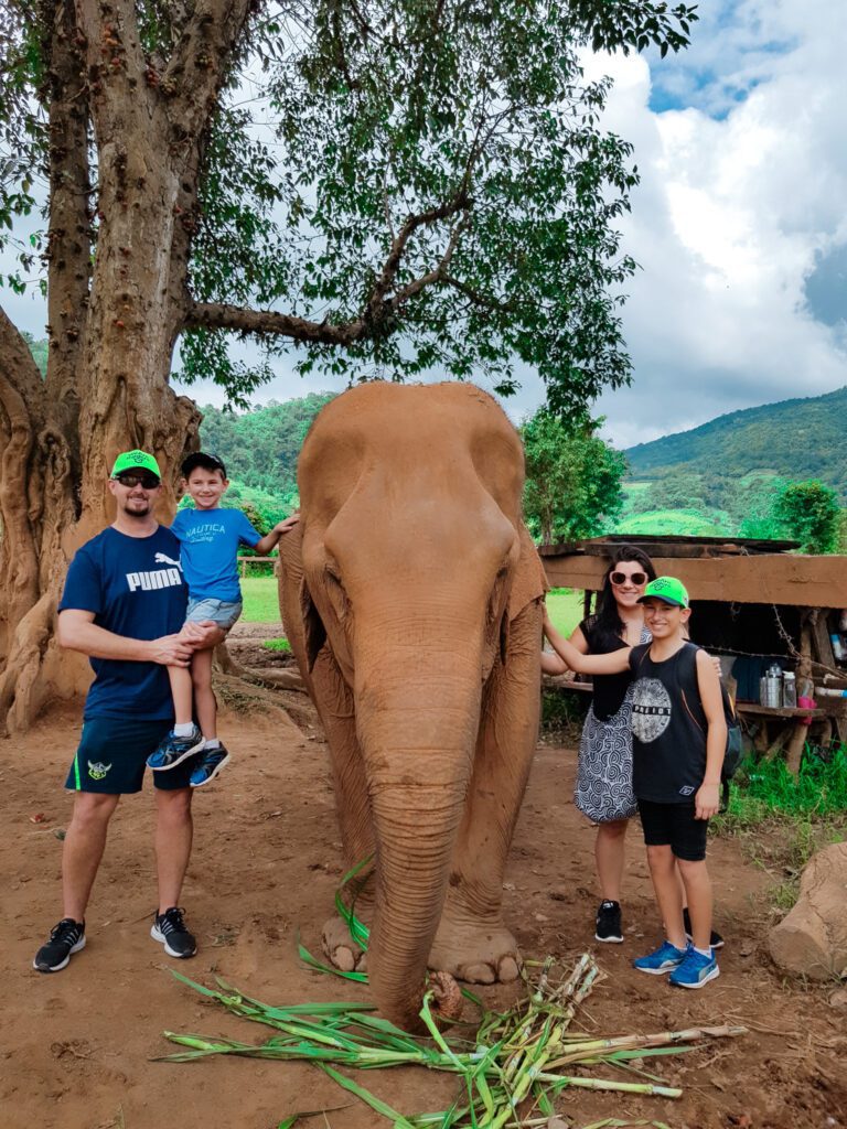 Two Weeks in Chiang Mai
