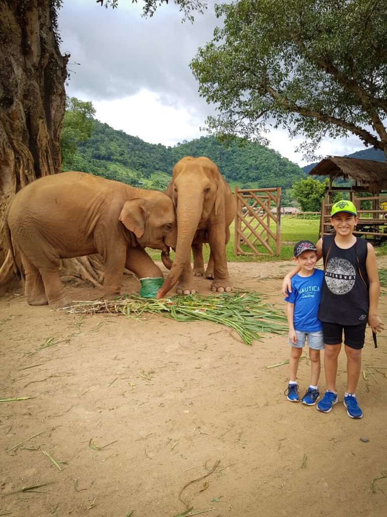 Two Weeks in Chiang Mai