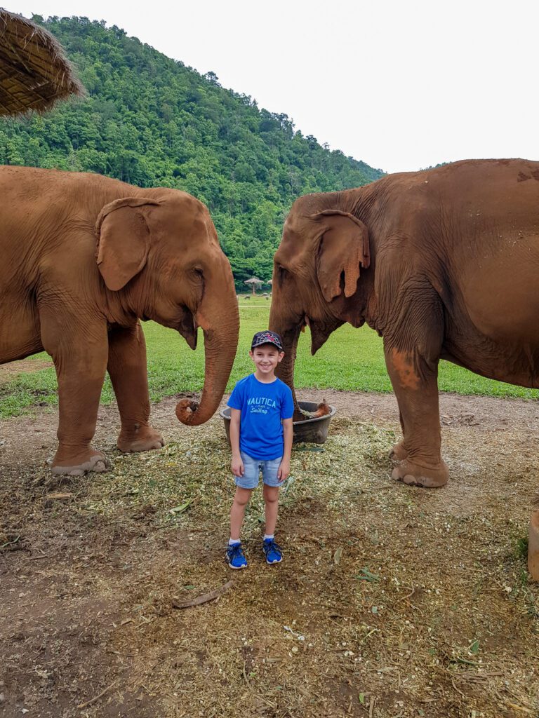 Two Weeks in Chiang Mai