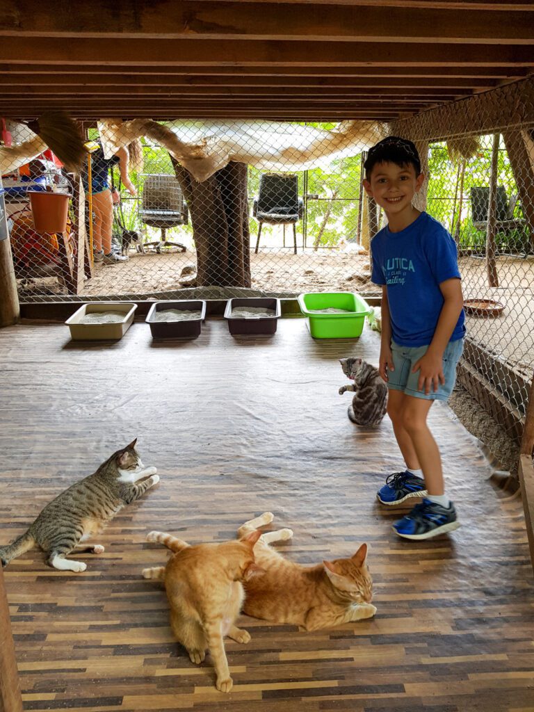 Two Weeks in Chiang Mai