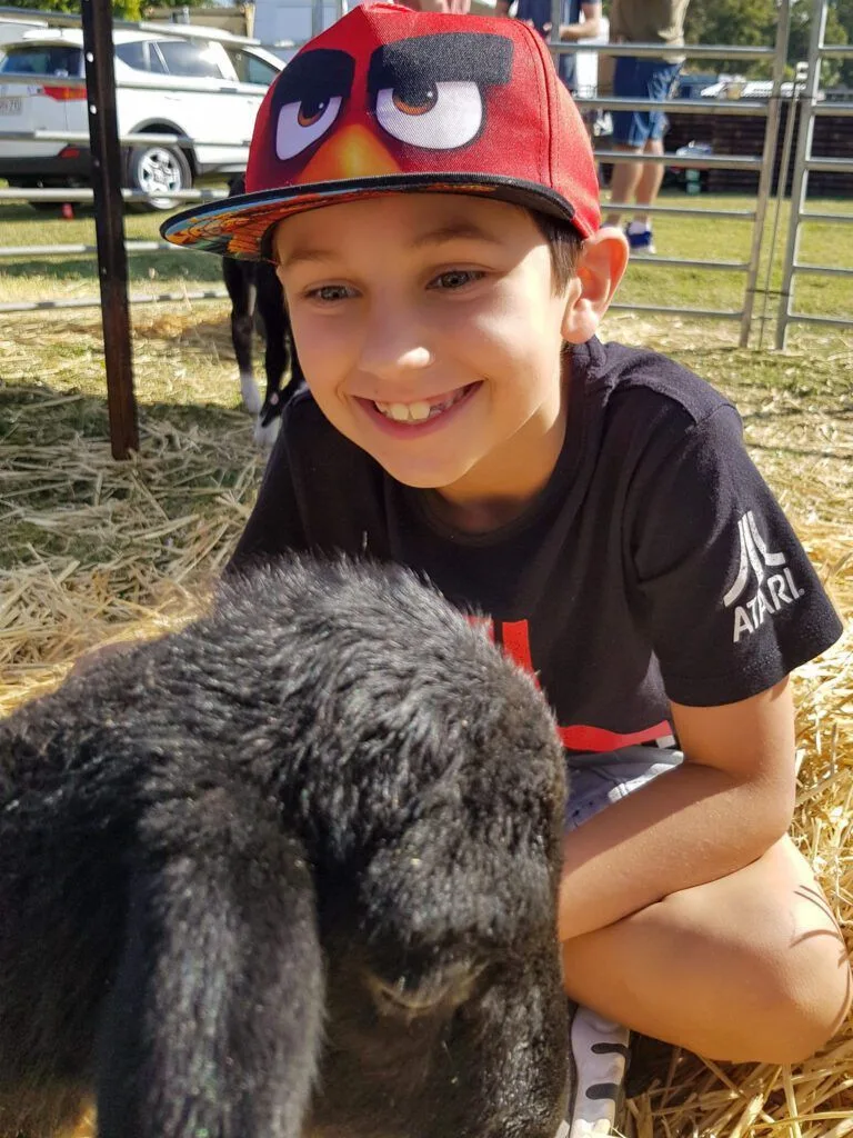 farm animal sanctuary brisbane death row unchained