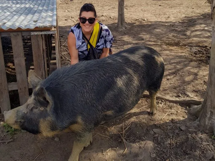 farm animal sanctuary brisbane pig at death row unchained